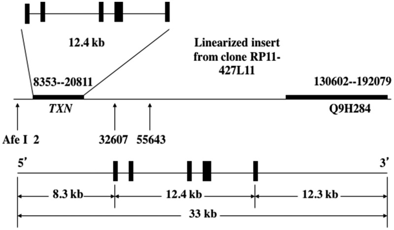 An external file that holds a picture, illustration, etc.
Object name is ZPBA_A_1533754_F0001_B.jpg