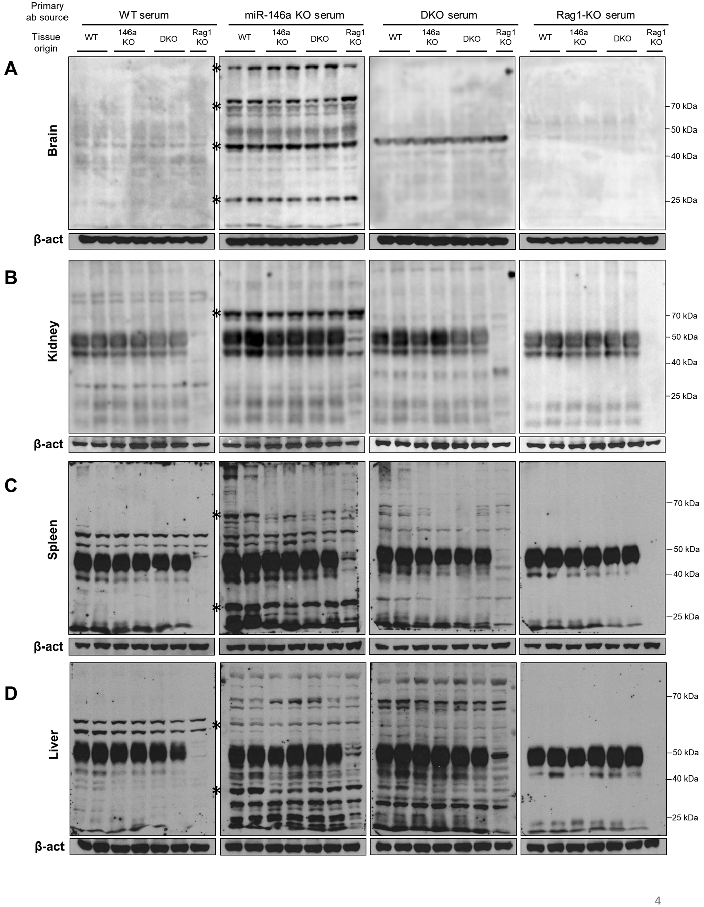 An external file that holds a picture, illustration, etc.
Object name is nihms-1598738-f0004.jpg