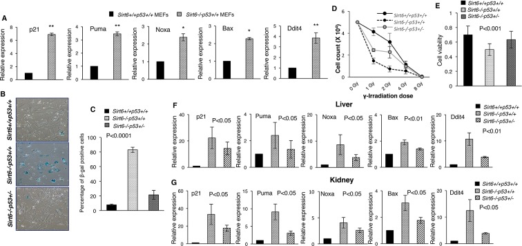 An external file that holds a picture, illustration, etc.
Object name is elife-32127-fig1.jpg