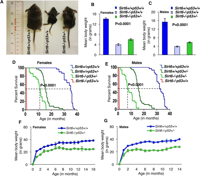 An external file that holds a picture, illustration, etc.
Object name is elife-32127-fig2.jpg