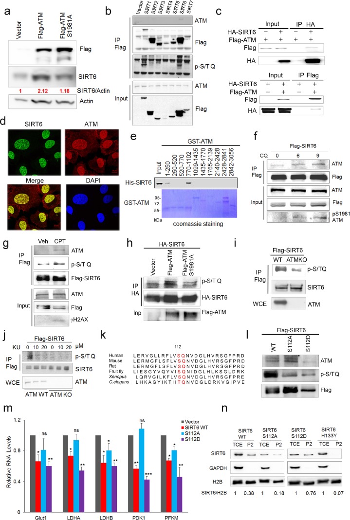 An external file that holds a picture, illustration, etc.
Object name is elife-34836-fig3.jpg