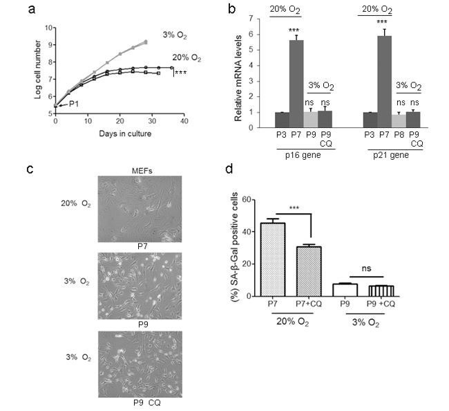 An external file that holds a picture, illustration, etc.
Object name is elife-34836-resp-fig1.jpg