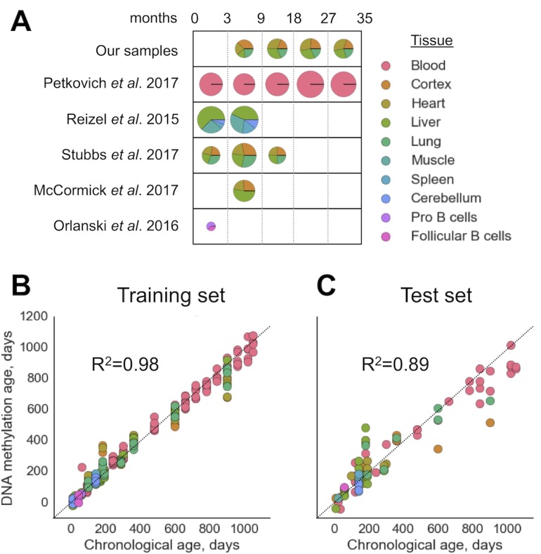 An external file that holds a picture, illustration, etc.
Object name is elife-40675-fig1.jpg